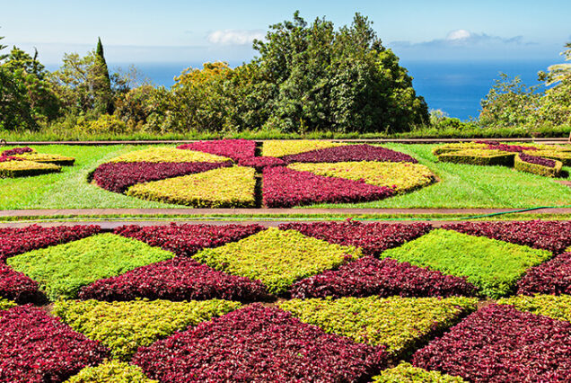 madeira-prime-gardens-tour-madeira-island-00