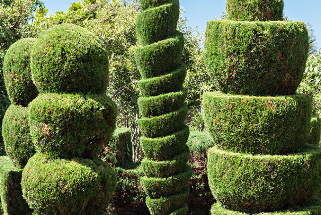 madeira-prime-gardens-tour-madeira-island-01