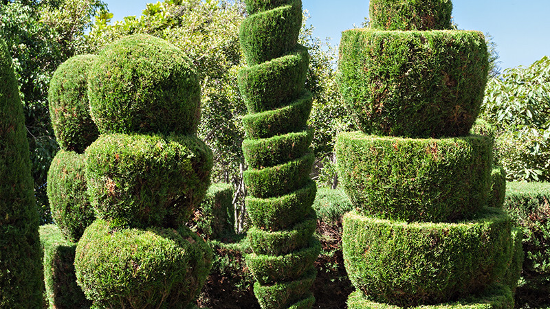 madeira-prime-gardens-tour-madeira-island-01