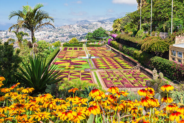 madeira-prime-gardens-tour-madeira-island-02