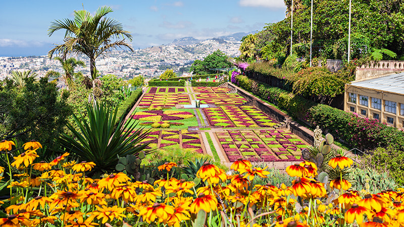 madeira-prime-gardens-tour-madeira-island-02