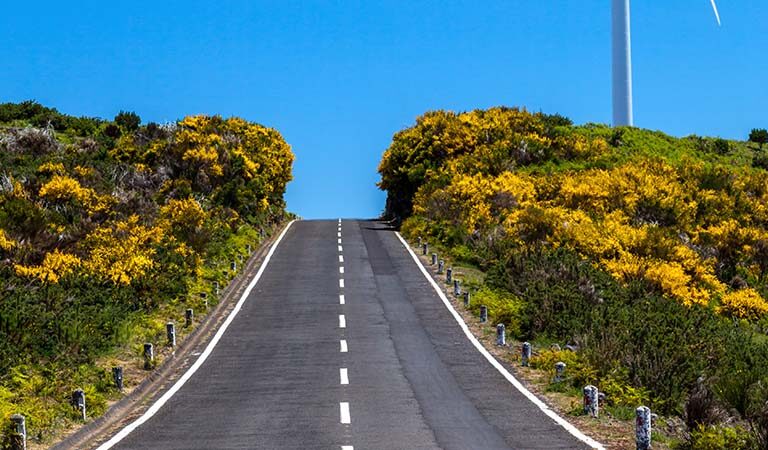 madeira-prime-tours-west-tour-madeira-island-04