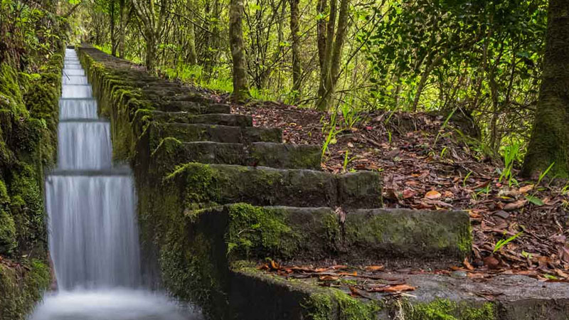 madeira-prime-tours-east-tour-madeira-island-012