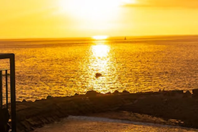madeira-prime-tours-sunset-tour-madeira-island-01